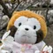 ぼたん