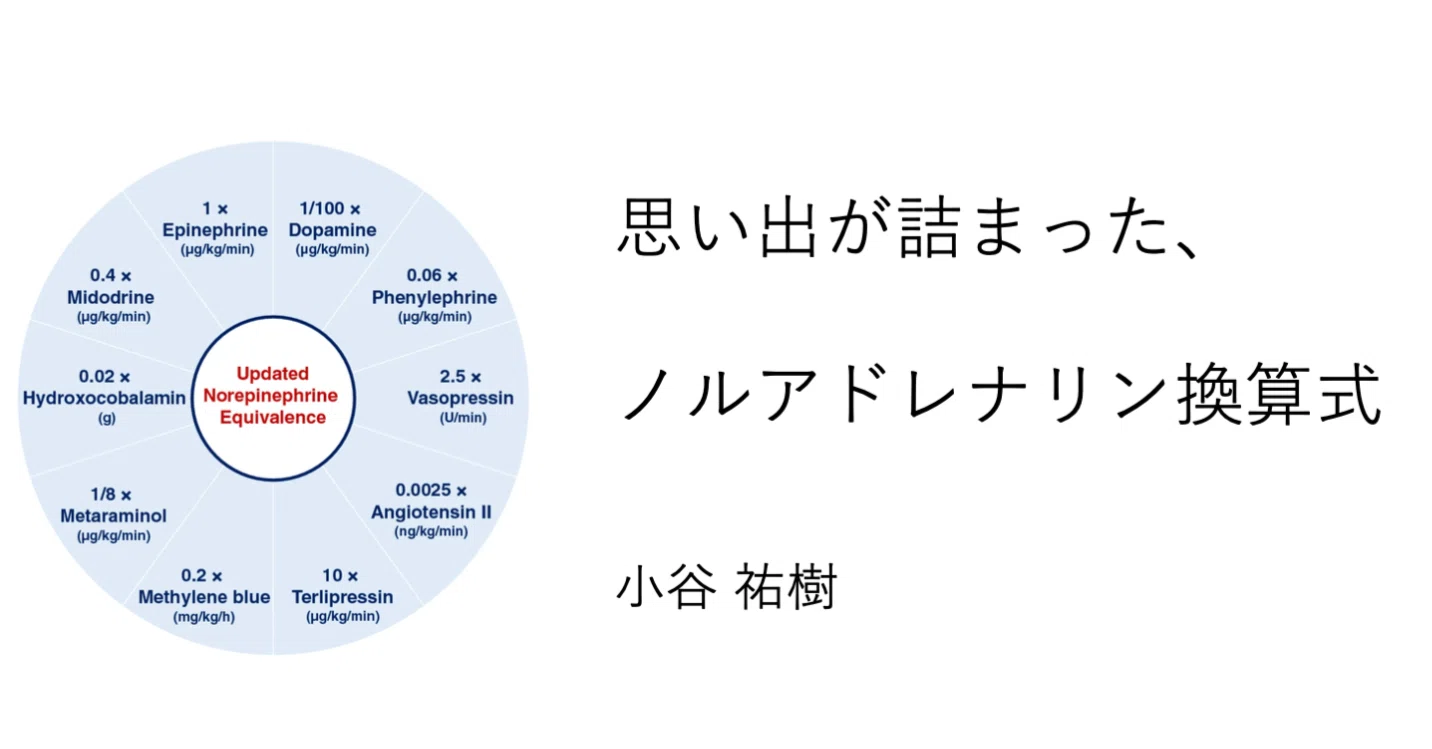 思い出が詰まった、ノルアドレナリン換算式｜小谷祐樹