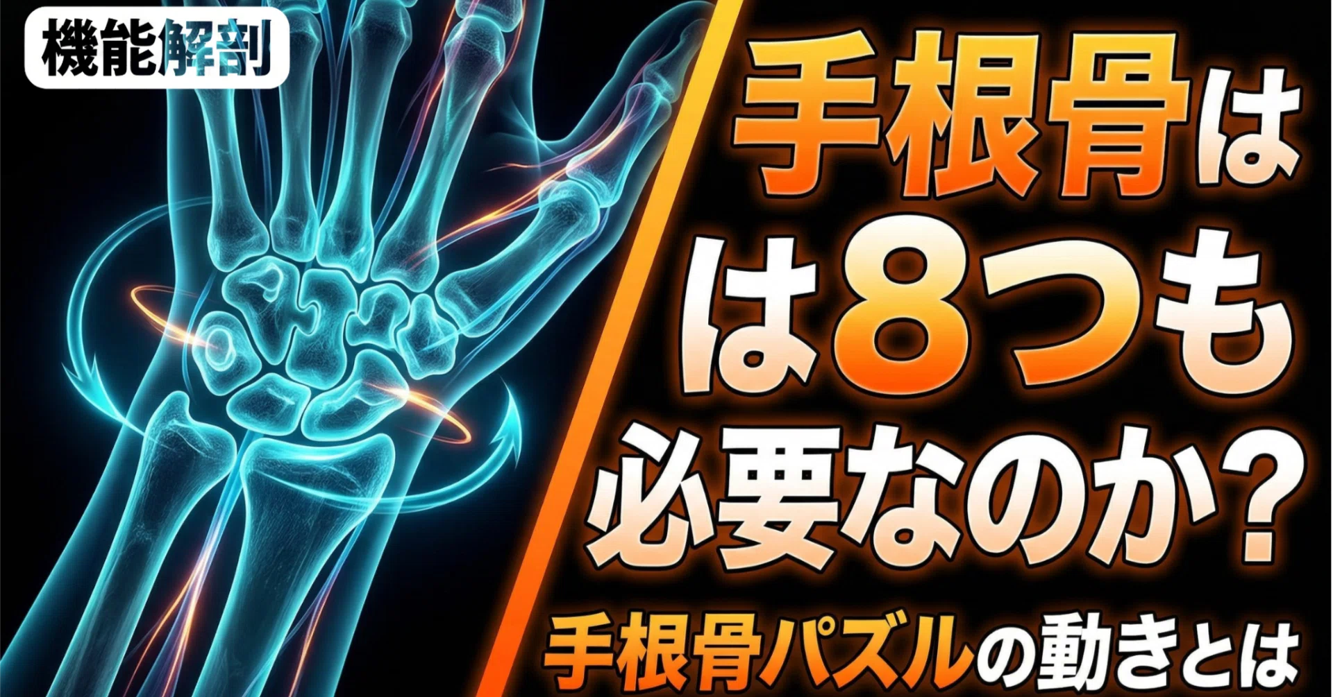 機能解剖】なぜ手根骨は8つも必要なのか？│手根骨パズルの動きとは