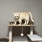 猫よりだいじなものはない