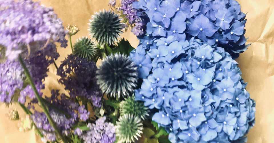 入籍2ヶ月前に婚約者が消えた30代女の結末 こうじょう いくみ Note