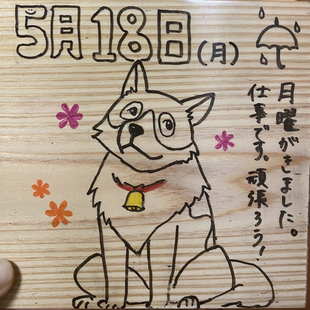日めくりカレンダー 5 18 だま 手書きカレンダー Note