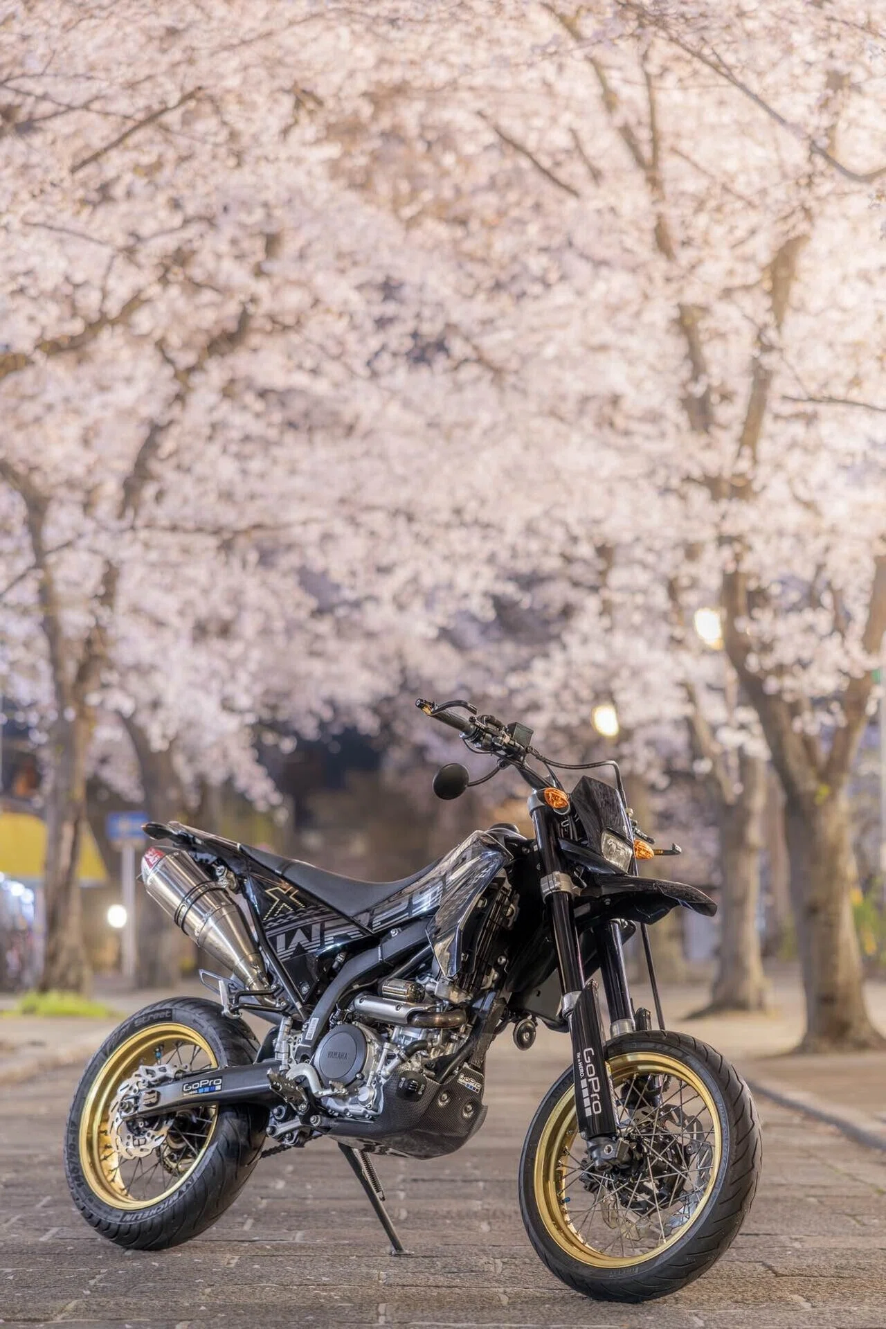 夜桜とバイクを｜ナックルヘッド / GoPro®︎ Official Family Member