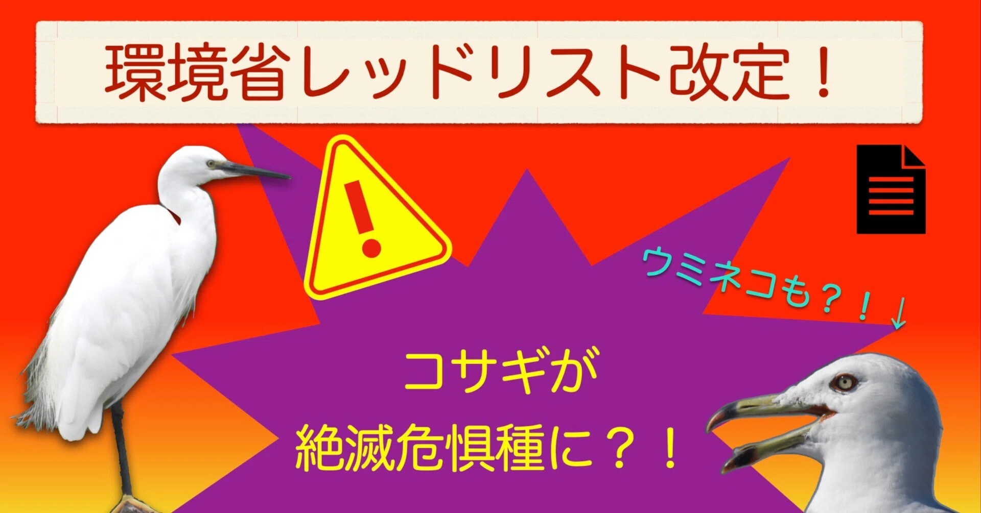 絶滅危惧種　 318ci 8万キロ 第9回】コサギが絶滅危惧種に？！環境省レッドリスト改定！｜鳥の学校