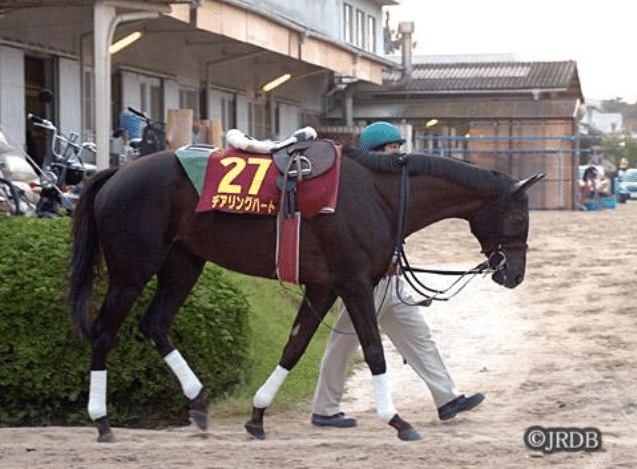 2020年オークス 優勝馬 デアリングタクト｜JRDB 競馬アラカルト