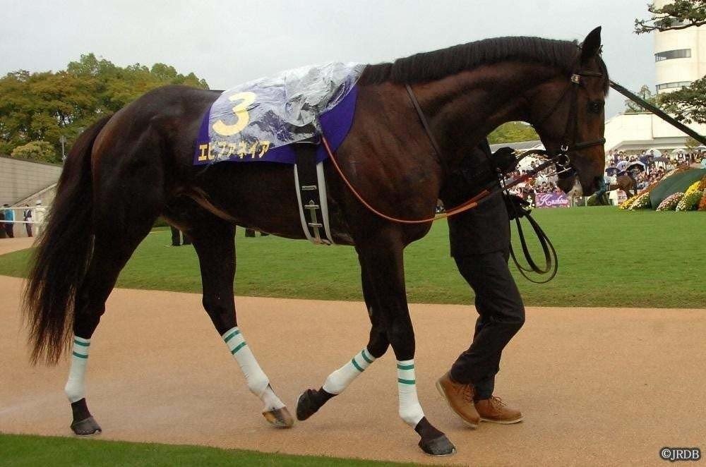 【競馬】デアリングタクト・オークス優勝記念Tシャツ(XL)／JRA／入手困難 無敗牝馬3冠デアリングタクトが電撃引退でターフに別れ 体部繋