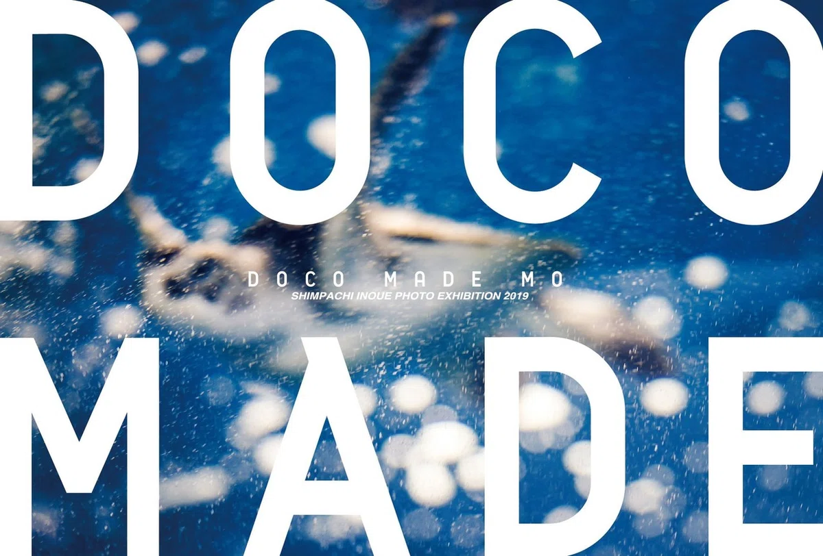 画像14