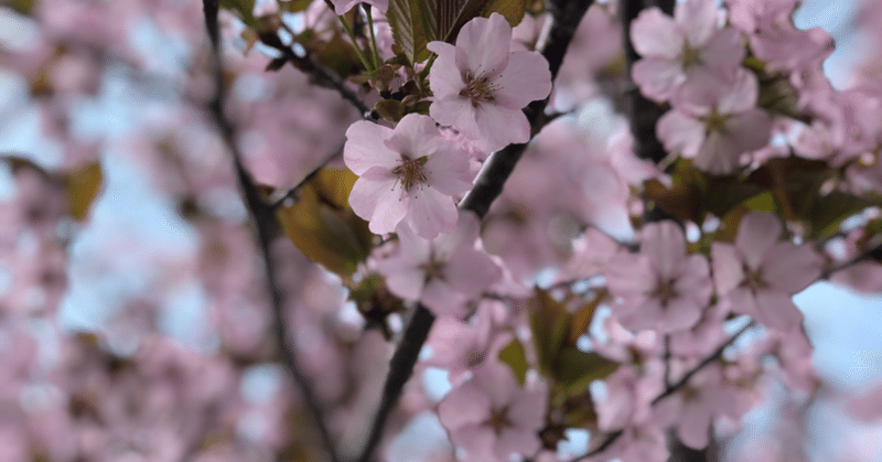 鬼滅の刃 が人気の理由と あばかれる物語 あばく物語 立花実咲 misaki tachibana note