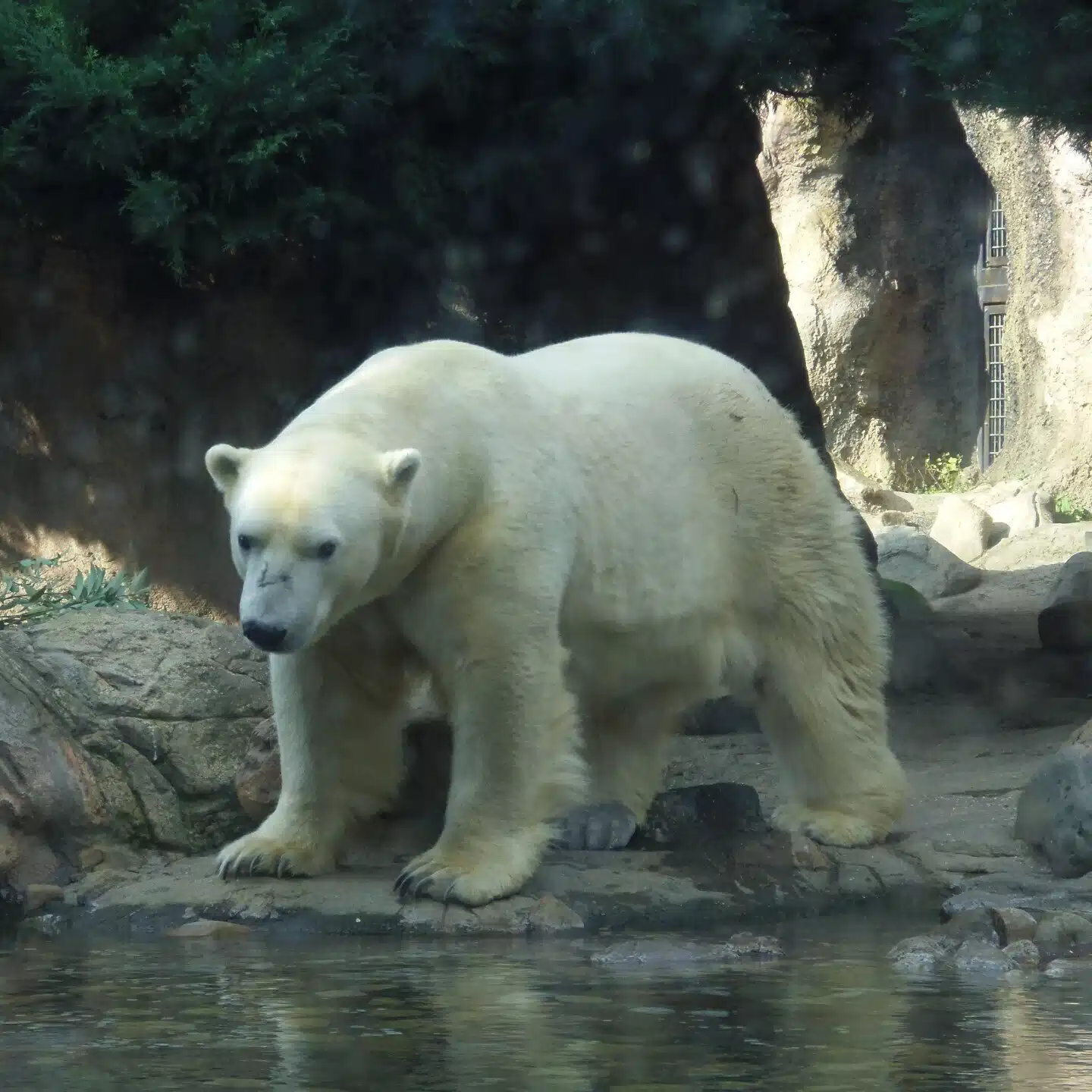 リズム