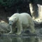 リズム