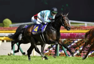 競馬の歴史」を学ぶ ～桜花賞・オークス2冠馬 編～【2021/5/23追記