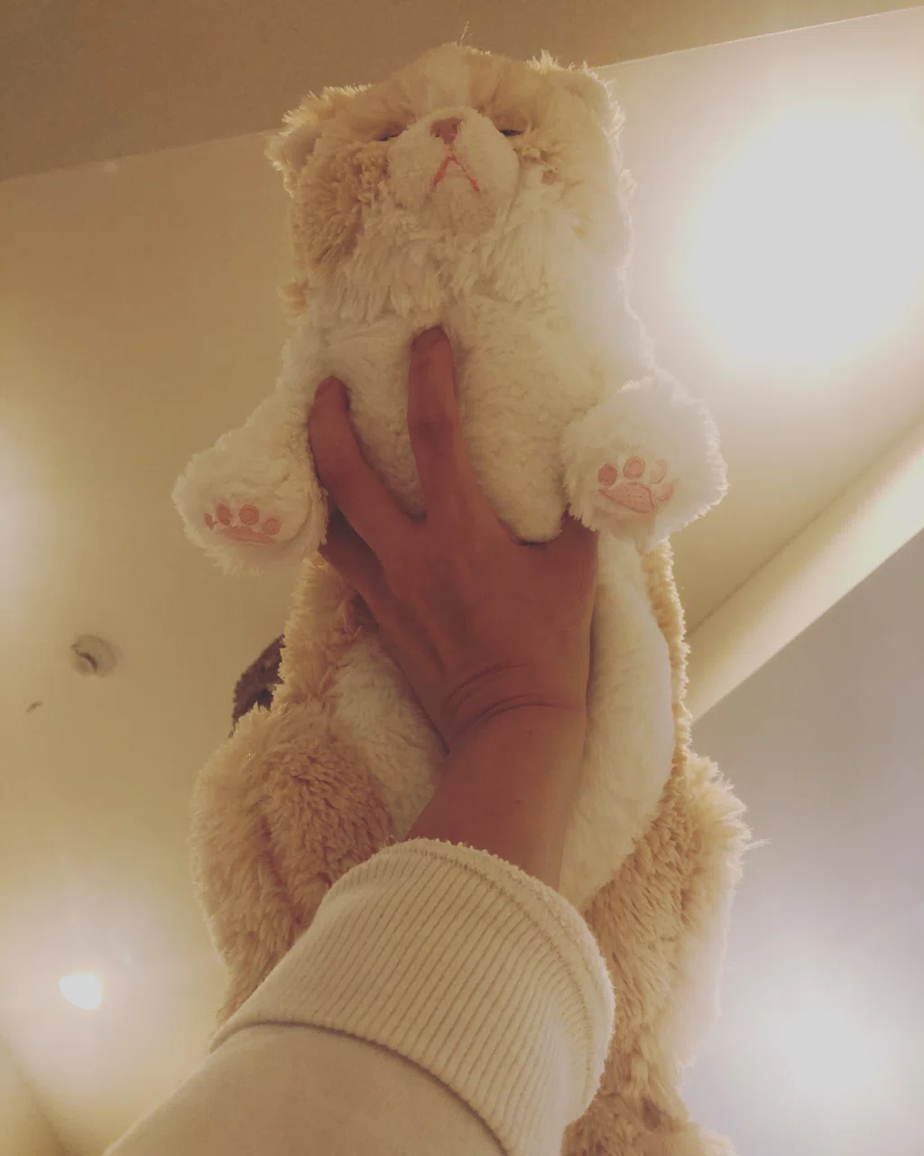 ぬいぐるみ遊びは 自分の魂がもし別の容れ物に入っていたら 遊びとも言えるのかもしれない 犬山紙子 Note ぬいぐるみ遊びは 自分の魂がもし別の容れ物に入っていたら 遊びとも言えるのかもしれない 犬山紙子 Note