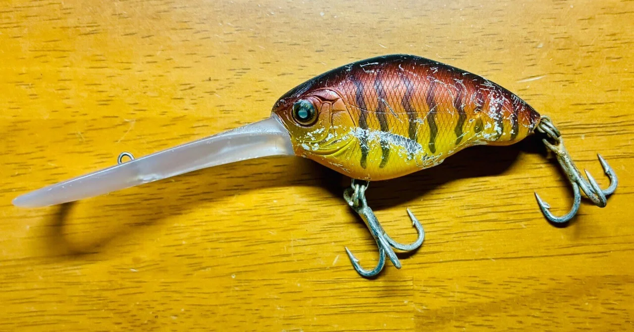Deep Crankbait with a Compact Body and Long Lip: 