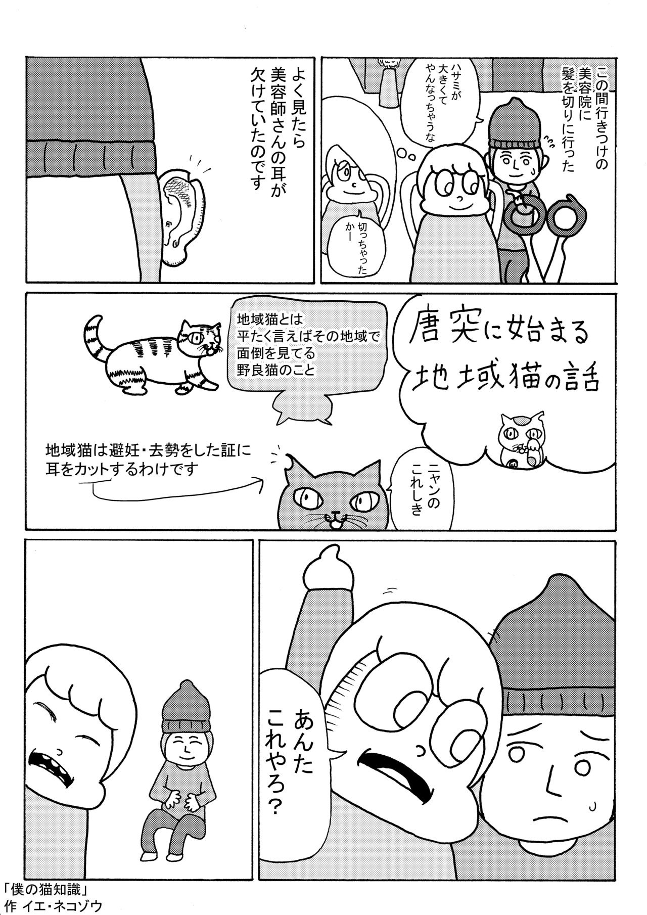 ネコゾウ漫画 僕の猫知識 電気こうたろう Note