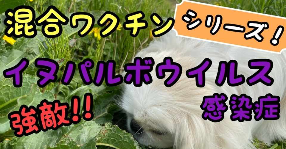 混合ワクチン第1の敵 イヌパルボウイルス感染症 徹底攻略 ドッグライフサポーター 獅子パパ Note