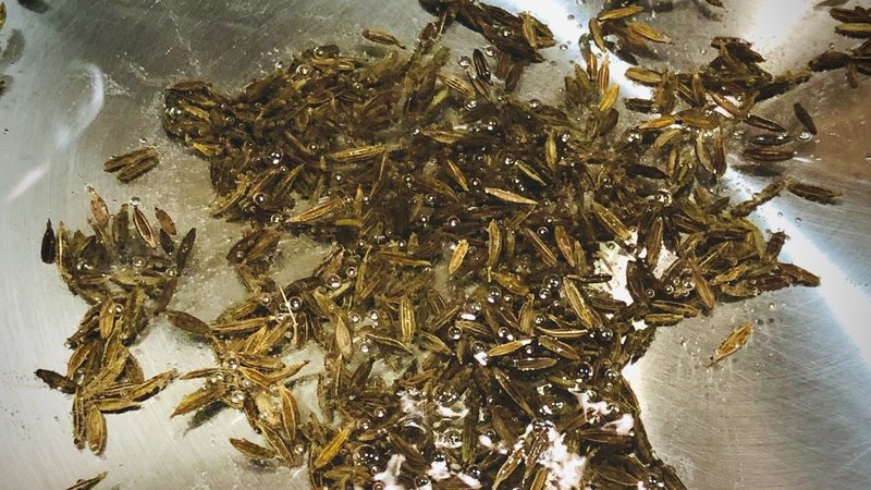 手羽元スパイスチキンカレー 圧力鍋で軟骨までコリコリおいしい シゲパピ Note 手羽元スパイスチキンカレー 圧力鍋で軟骨までコリコリおいしい シゲパピ Note