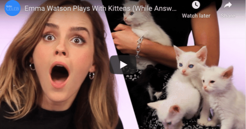 英語の名言 格言集 ミランダ カー Miranda Kerr の言葉 英語 和訳 12選 Erika Rose Note 英語の名言 格言集 ミランダ カー Miranda Kerr の言葉 英語 和訳 12選 Erika Rose Note