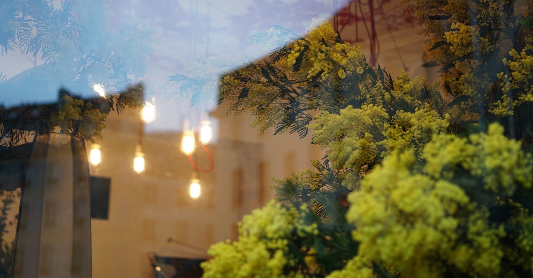 パリ旅行や留学中に使えるフランス語表現 3 お花屋さん 守屋 百合香 Yurika Moriya Note パリ旅行や留学中に使えるフランス語表現 3 お花屋さん 守屋 百合香 Yurika Moriya Note