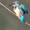 風の手枕