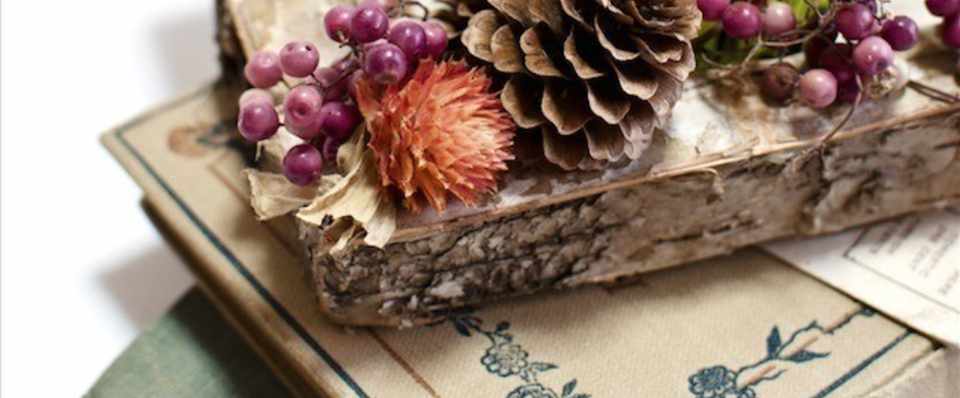 雑誌のライターと書籍のライターはここが違う ライター佐藤友美 さとゆみ Note