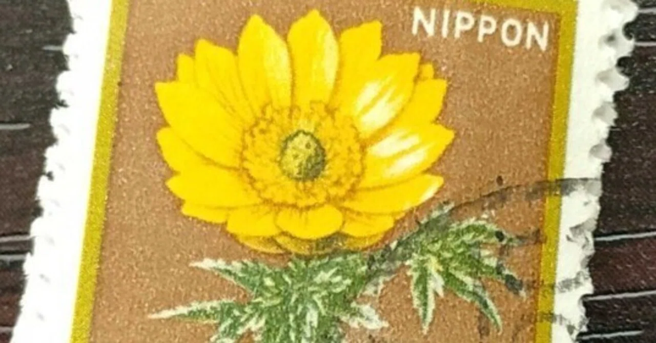 福寿草の切手 1982年｜nob