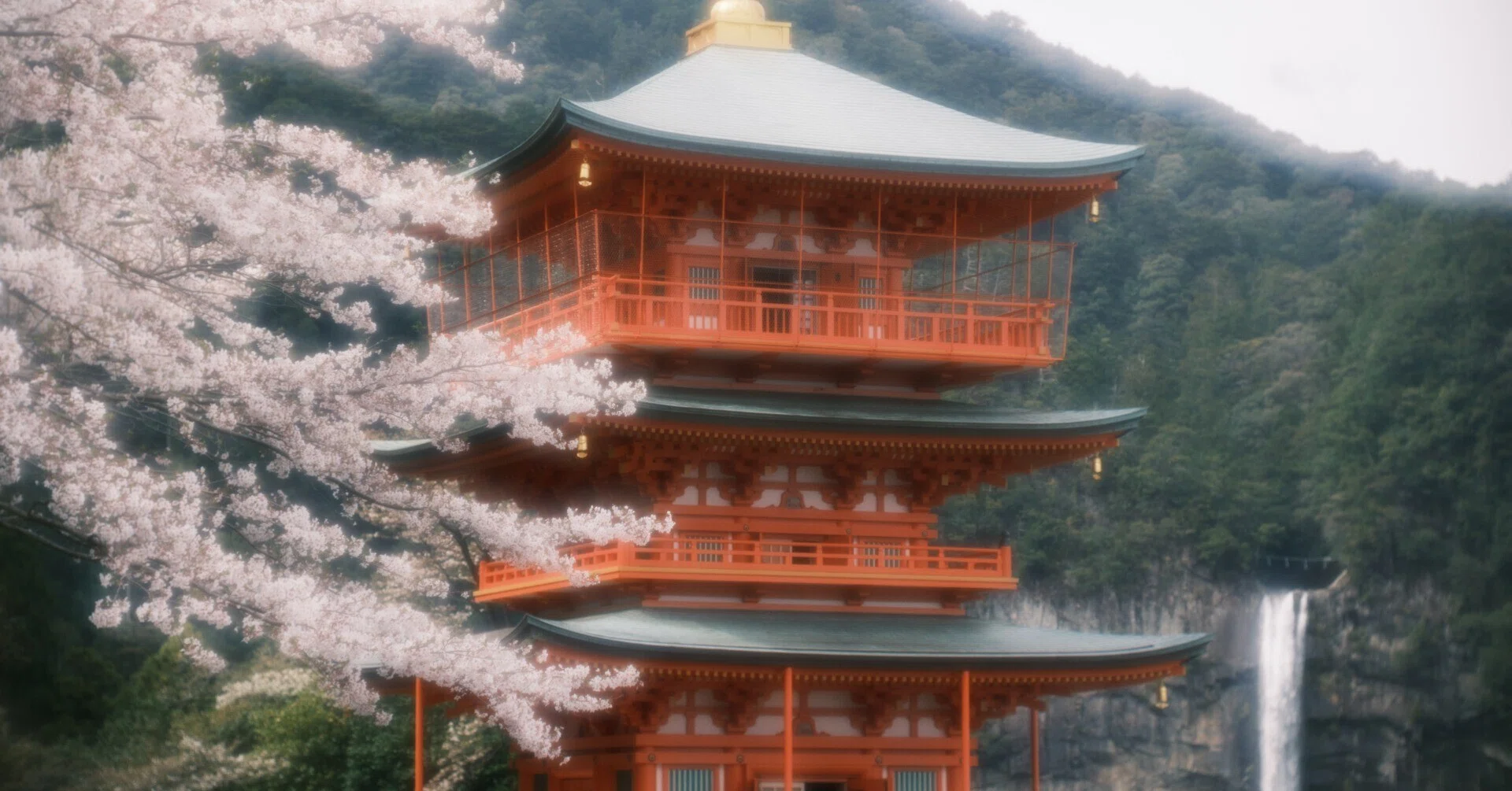 那智山の桜。 | 熊野那智大社・青岸渡寺・那智の滝 2026年4月6日｜KVA