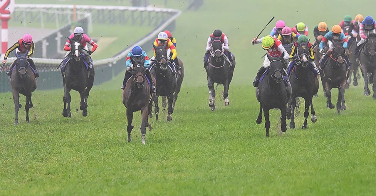 美術品・アンティーク・コレクション 2000年桜花賞 単勝18頭セット馬券