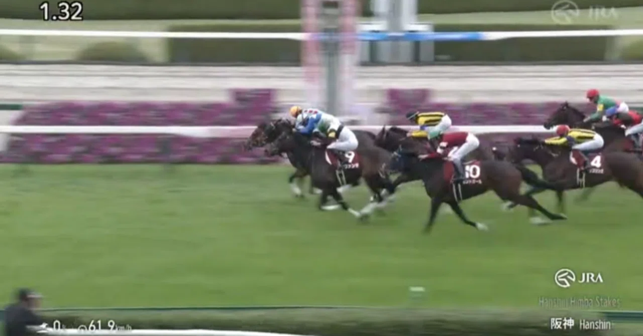 阪神 競馬 場 結果