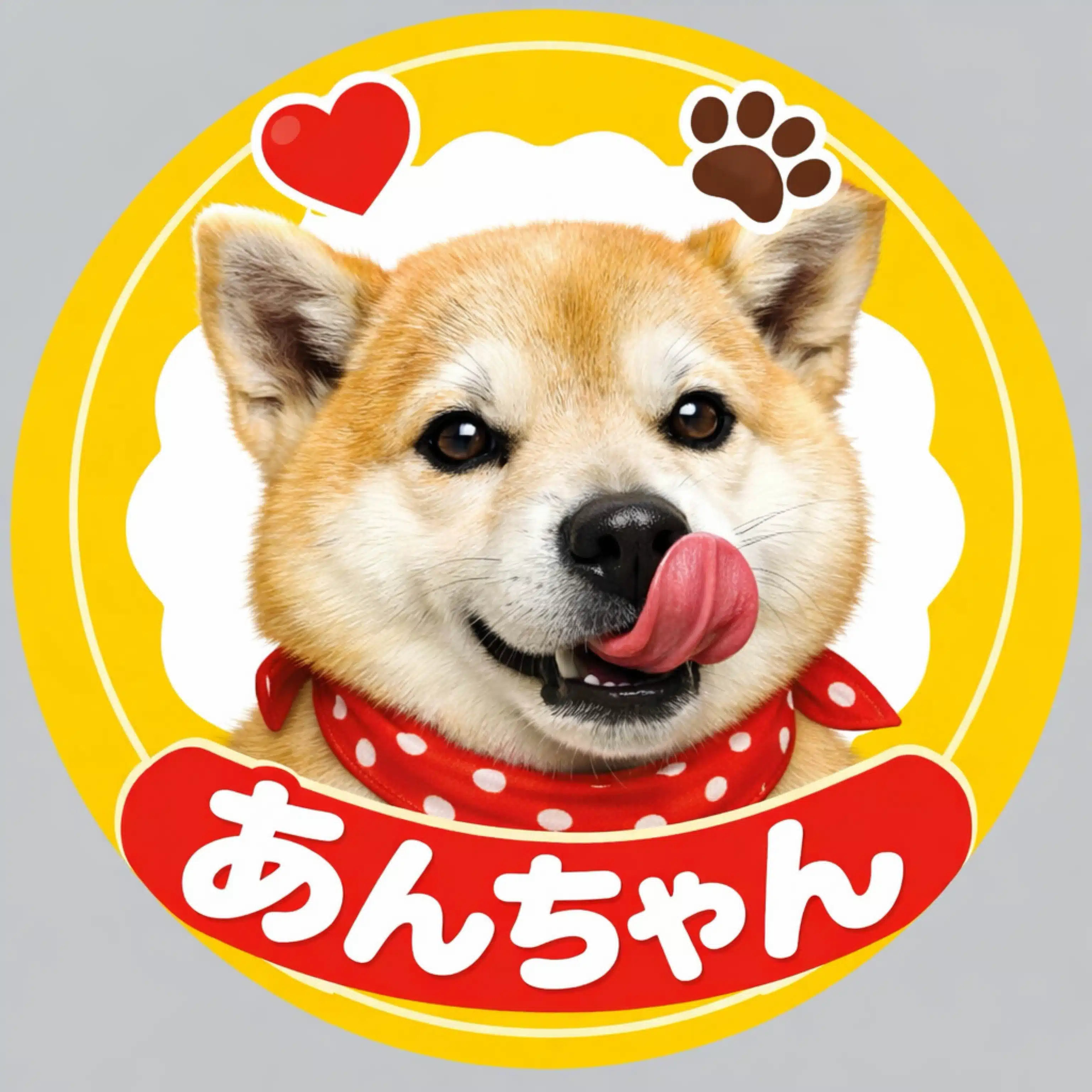 柴犬アン