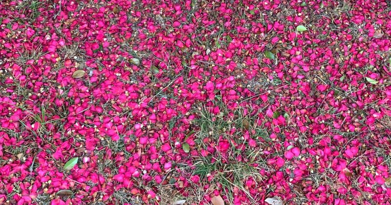 column:「ジャズ科だからってジャズミュージシャンにならなくていい」と伝える件(4,800字)