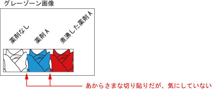 論文の画像切り貼りって不正なの Kei Note