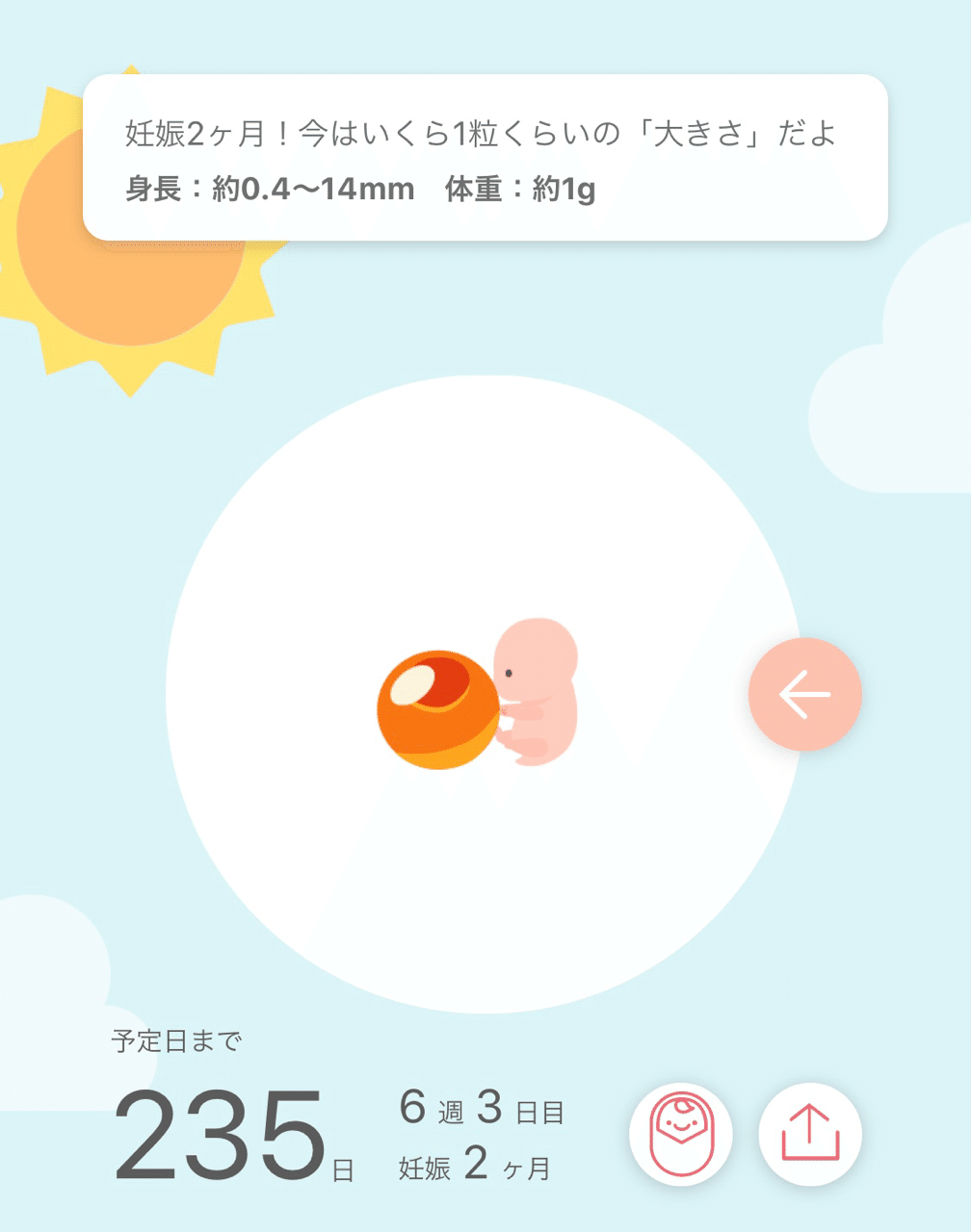 D 45 つわり Anna Note D 45 つわり Anna Note