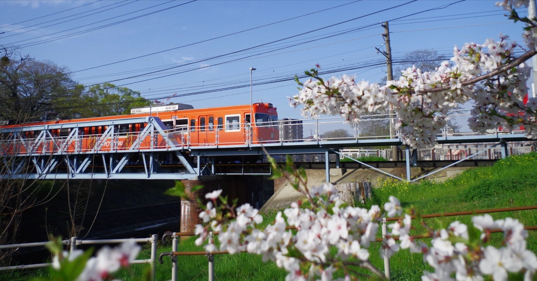 レンズ沼あれこれ：smc PENTAX-DA L 18-50mmF4-5.6 DC WR REはコスパ