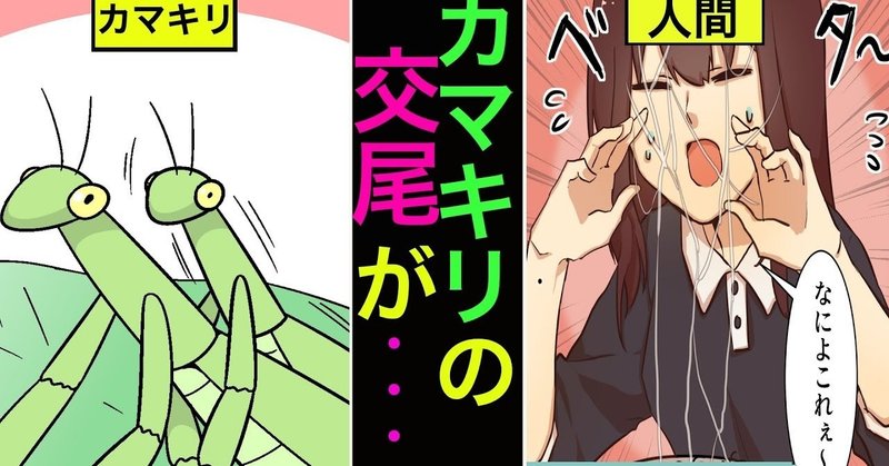 カマキリの交尾がやばい件について 漫画動画 雑学漫画 雑学王子トリビアーン Note カマキリの交尾がやばい件について 漫画動画 雑学漫画 雑学王子トリビアーン Note