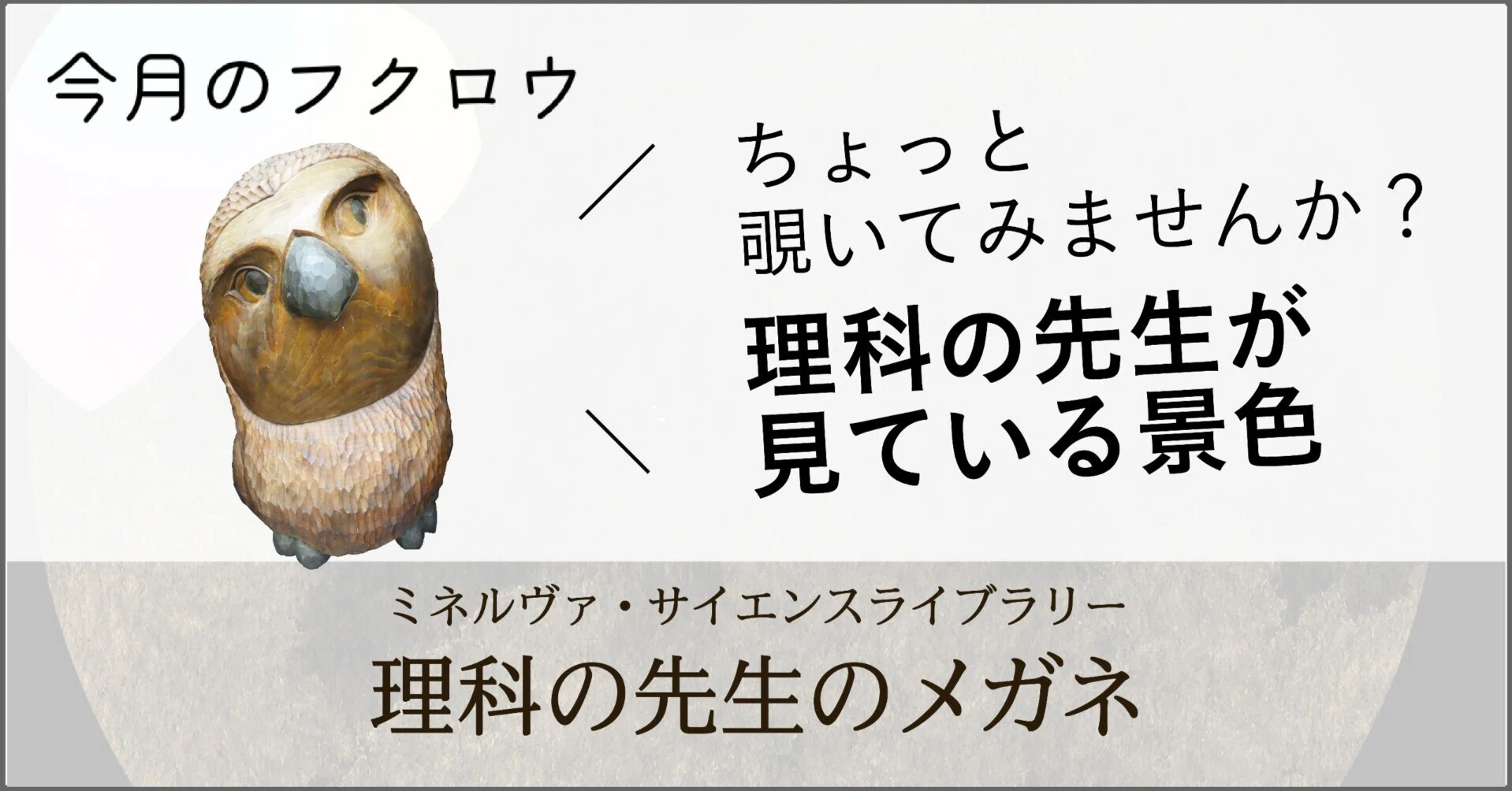 Owl of the Month] 