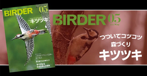 今月のBIRDER｜ブンイチ（文一総合出版）｜note