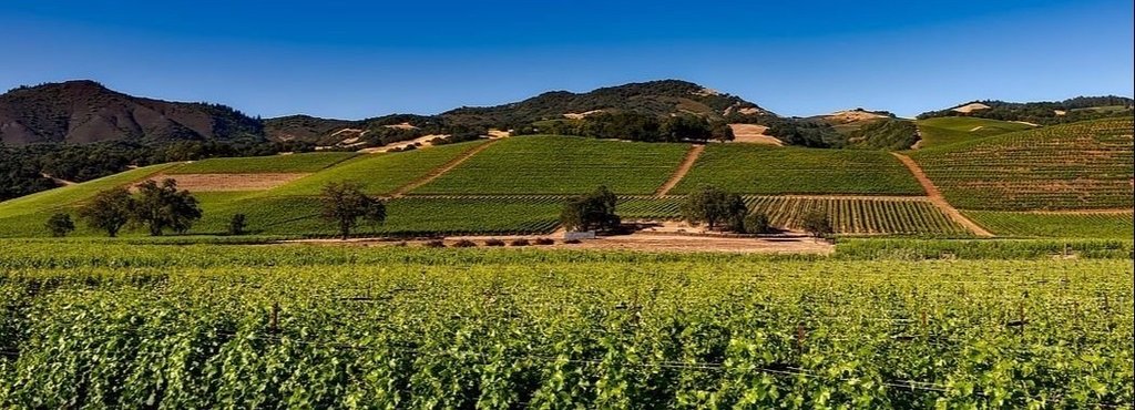 オーレジャパン Note オーレジャパン Note