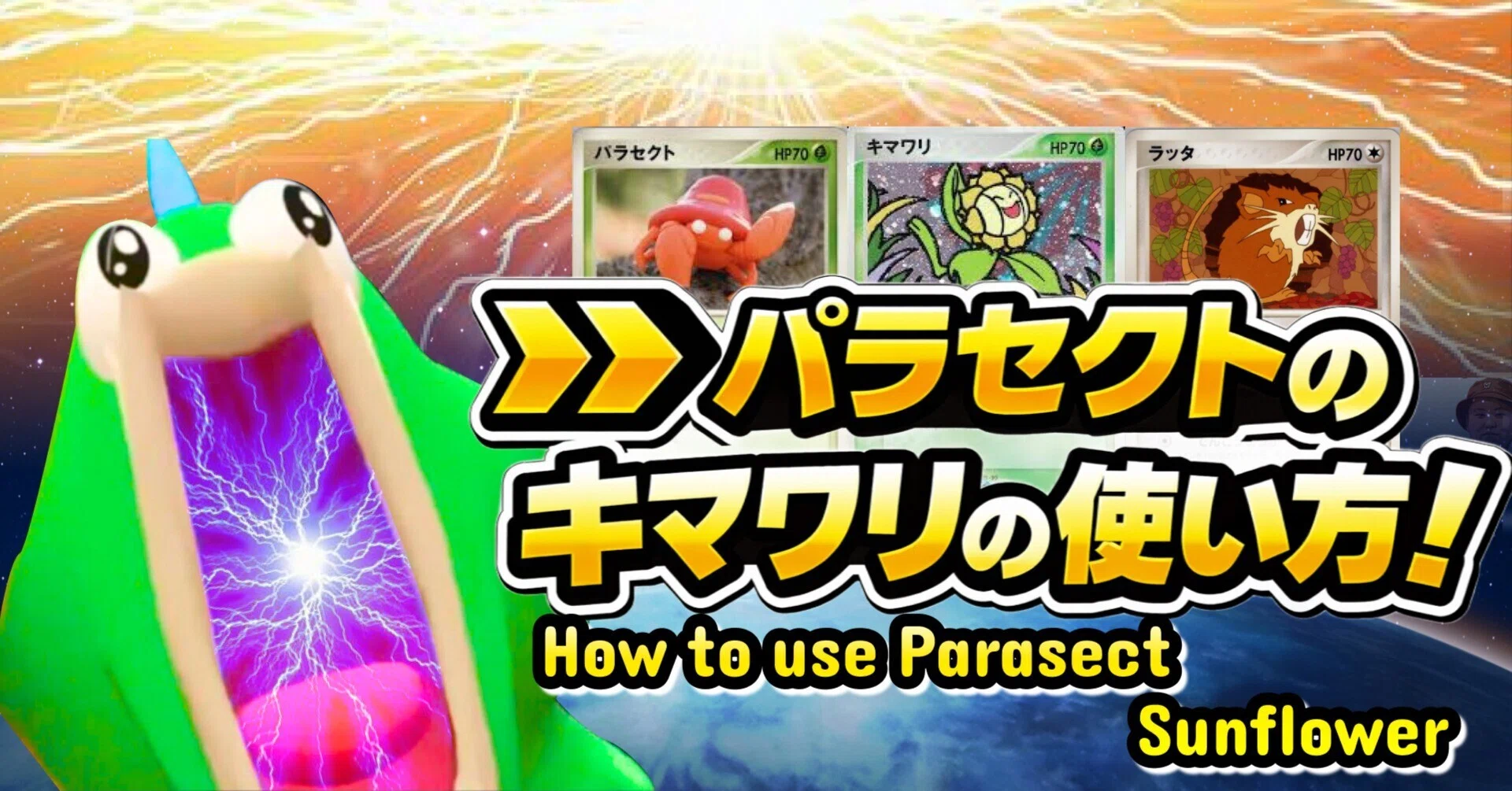 About SunfloraParasectRat / パラキマの使い方｜ビッキー【しゃちくの