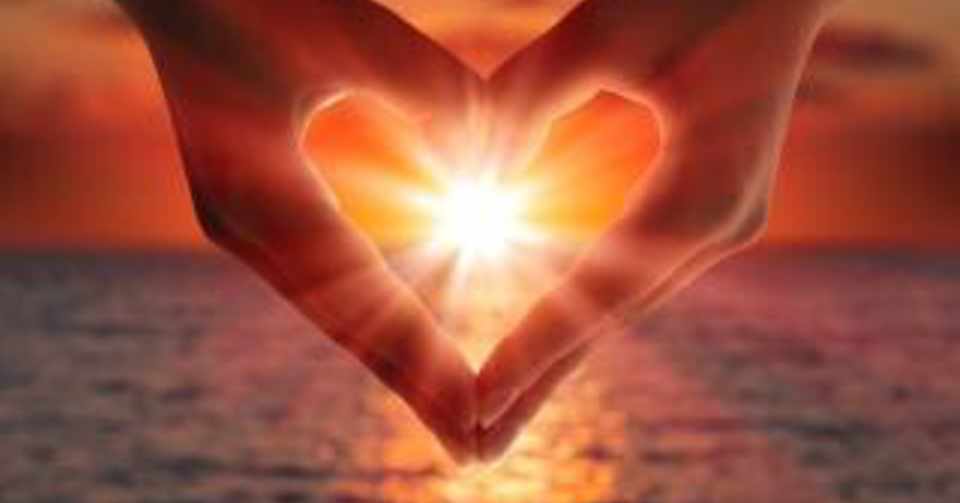 人間 熱量には勝てない Wataru Note