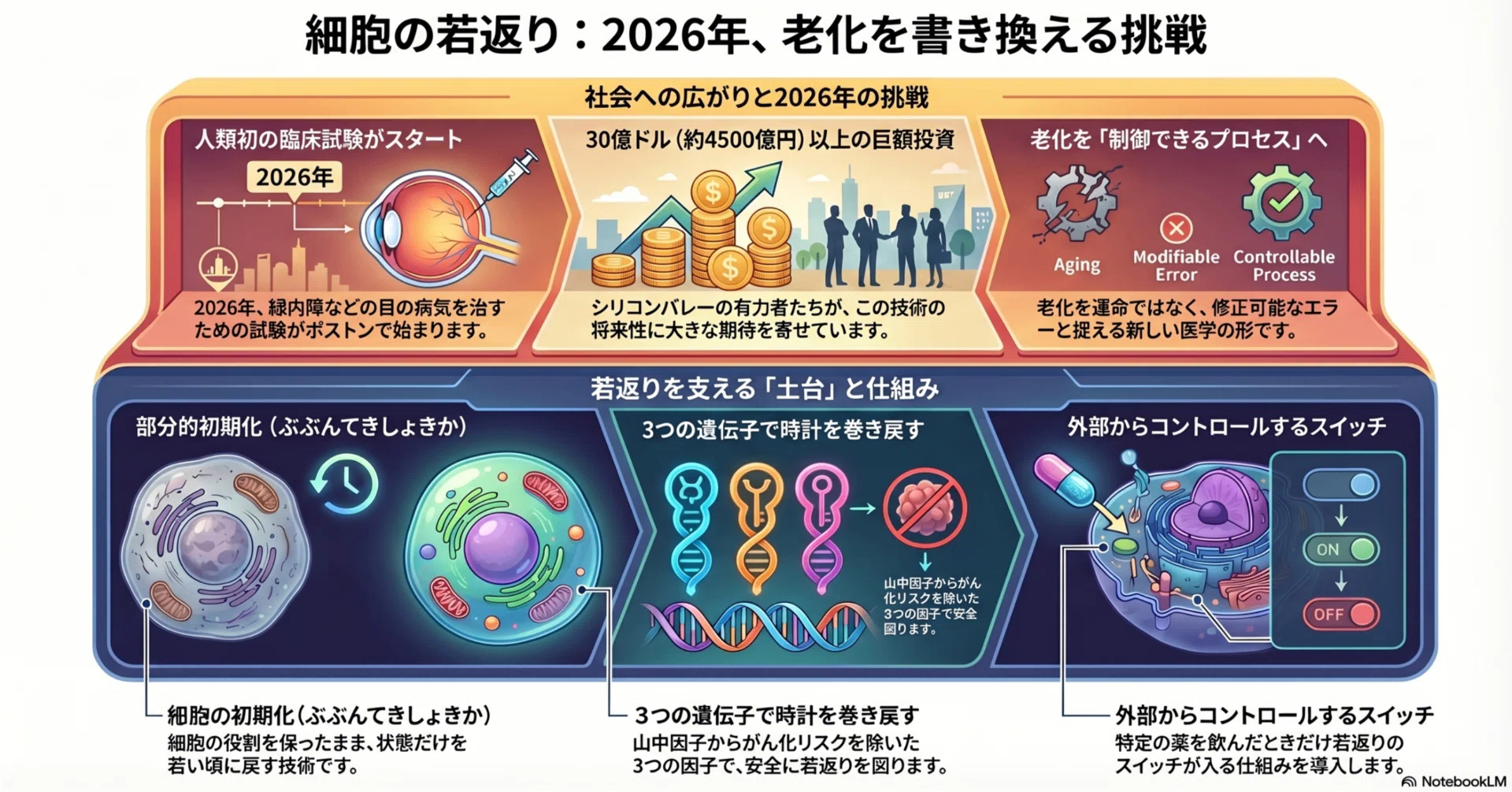 老化を「治療」する。2026年若返り臨床試験の衝撃｜tyo
