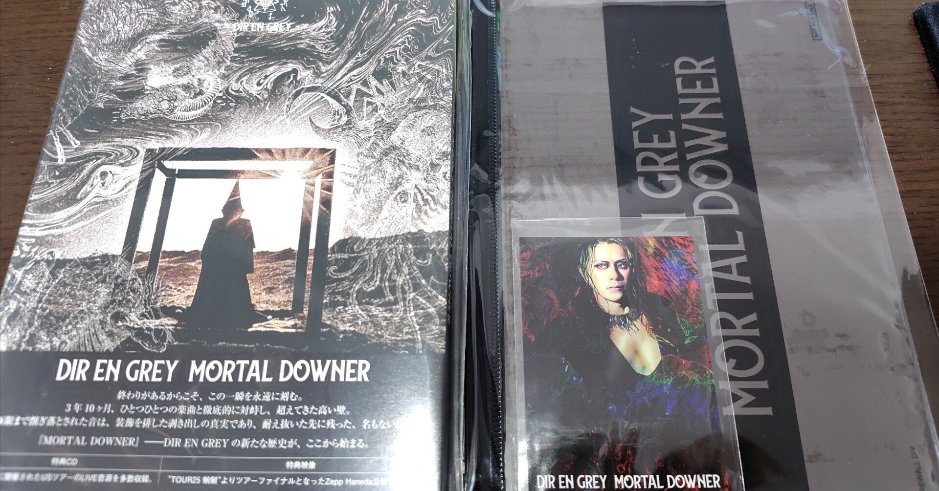 DIR EN GREY]12thアルバム MORTAL DOWNER｜K(Kei)