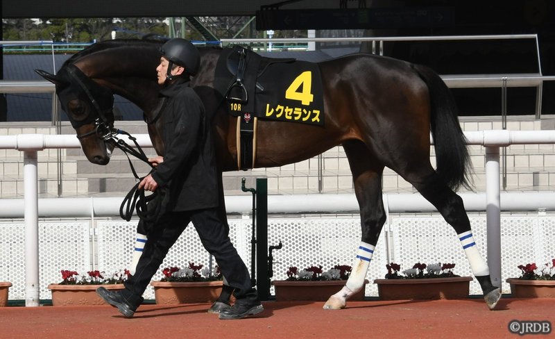 東京優駿 日本ダービー 出走予定馬参考レース Jrdb 競馬アラカルト Note 東京優駿 日本ダービー 出走予定馬参考レース Jrdb 競馬アラカルト Note