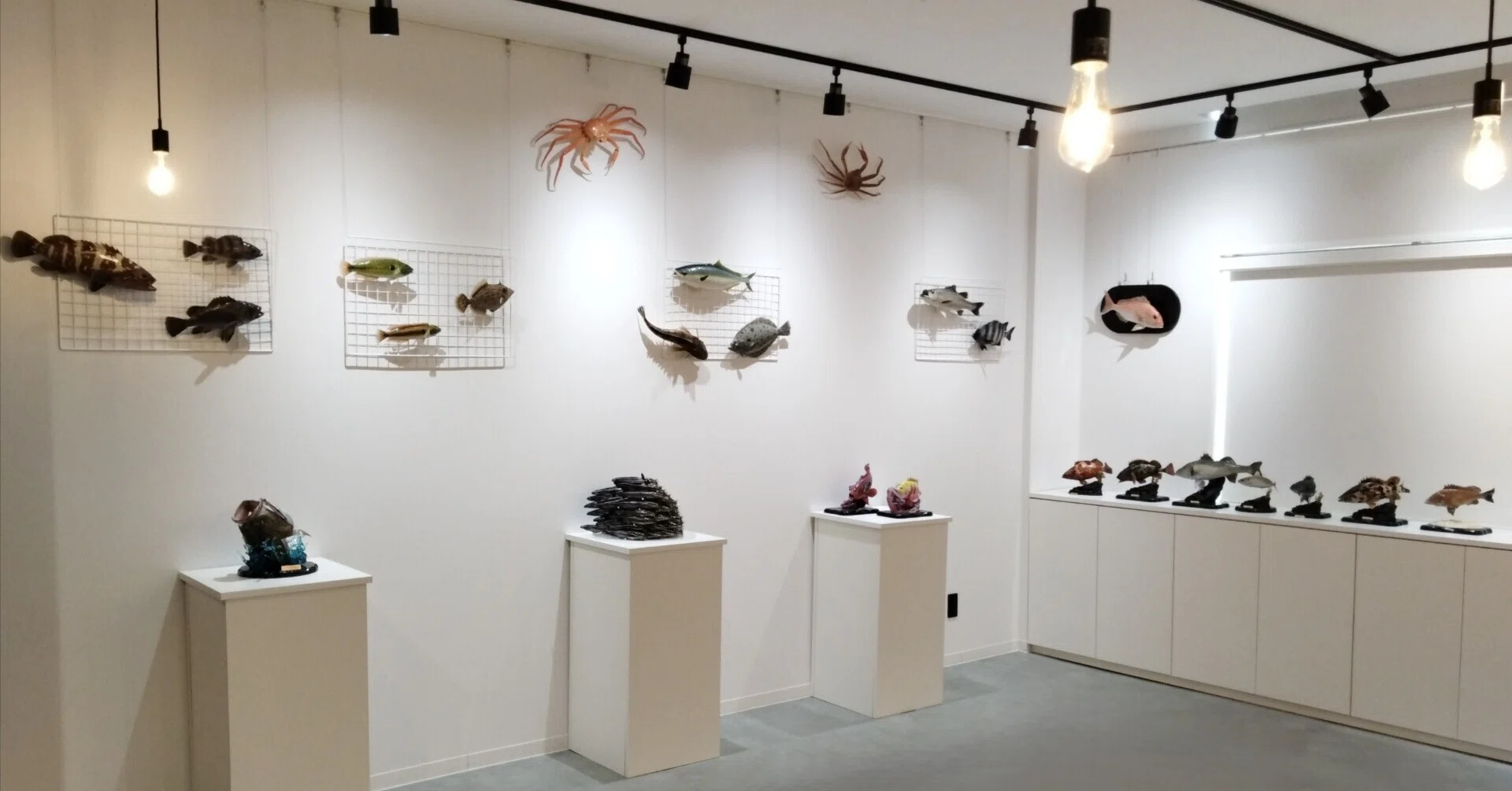 おさかなアート展2026｜魚道部！/ 剥製師 力石眞弘 (ﾁｶﾗｲｼ ﾏｻﾋﾛ)