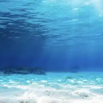 BaRiBaRi