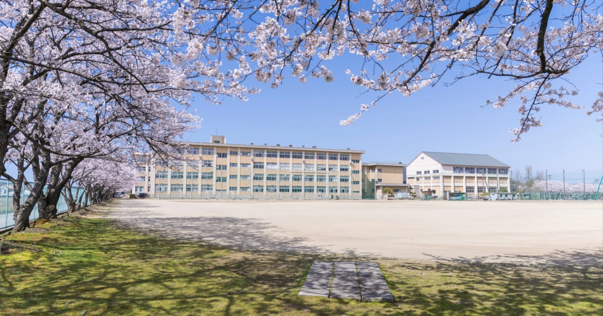 新潟県立碧高等学校