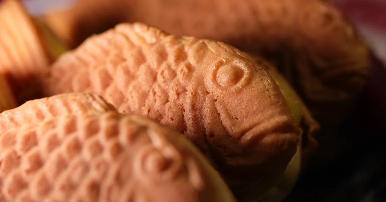 The Image and Reality of Rubber Processing｜Rubber LAB.MOEI