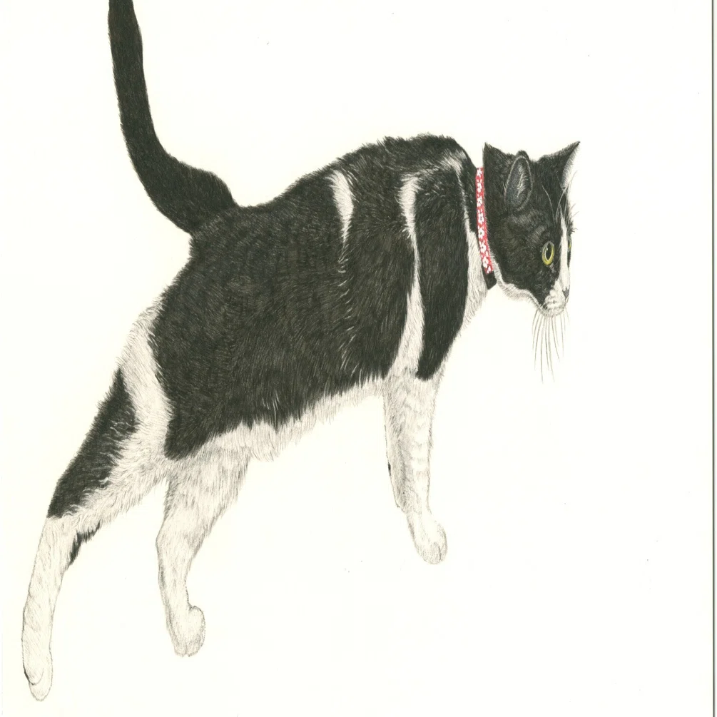 今週の猫】 Cat of the Week 2026/4/10｜山田貴裕
