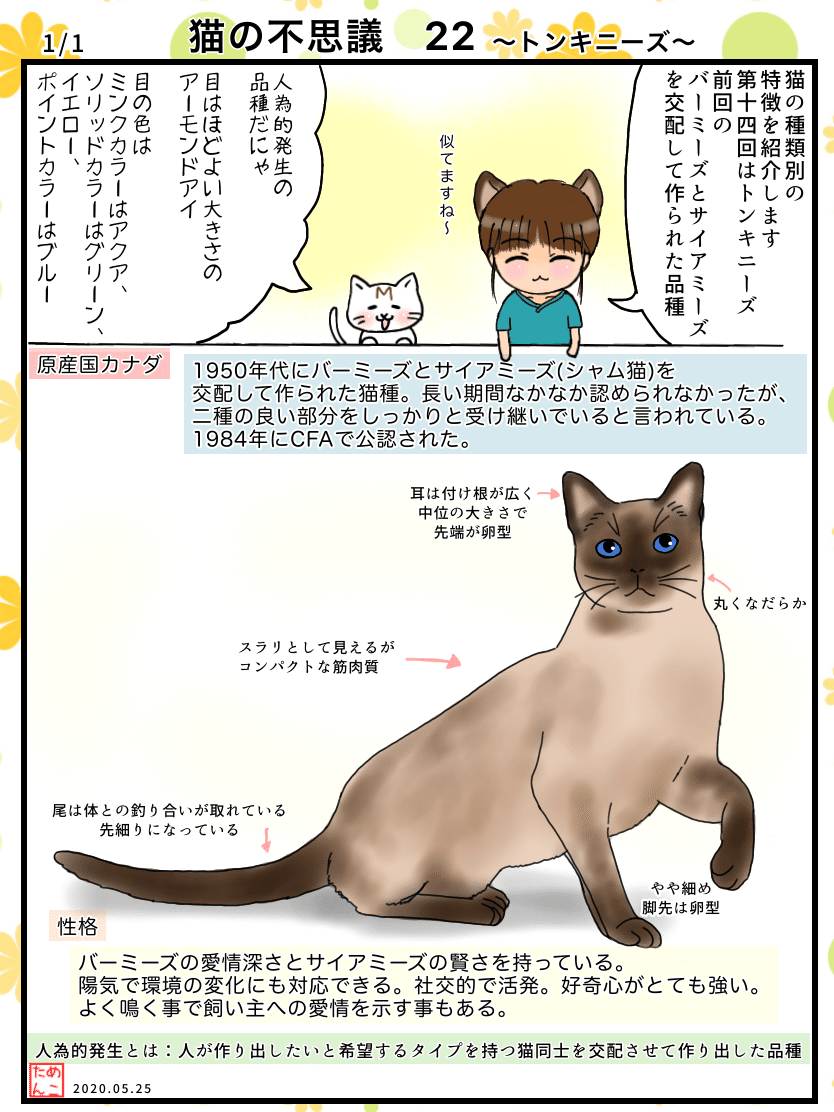 猫の不思議22 トンキ二ーズ めこたん 漫画 イラスト Note