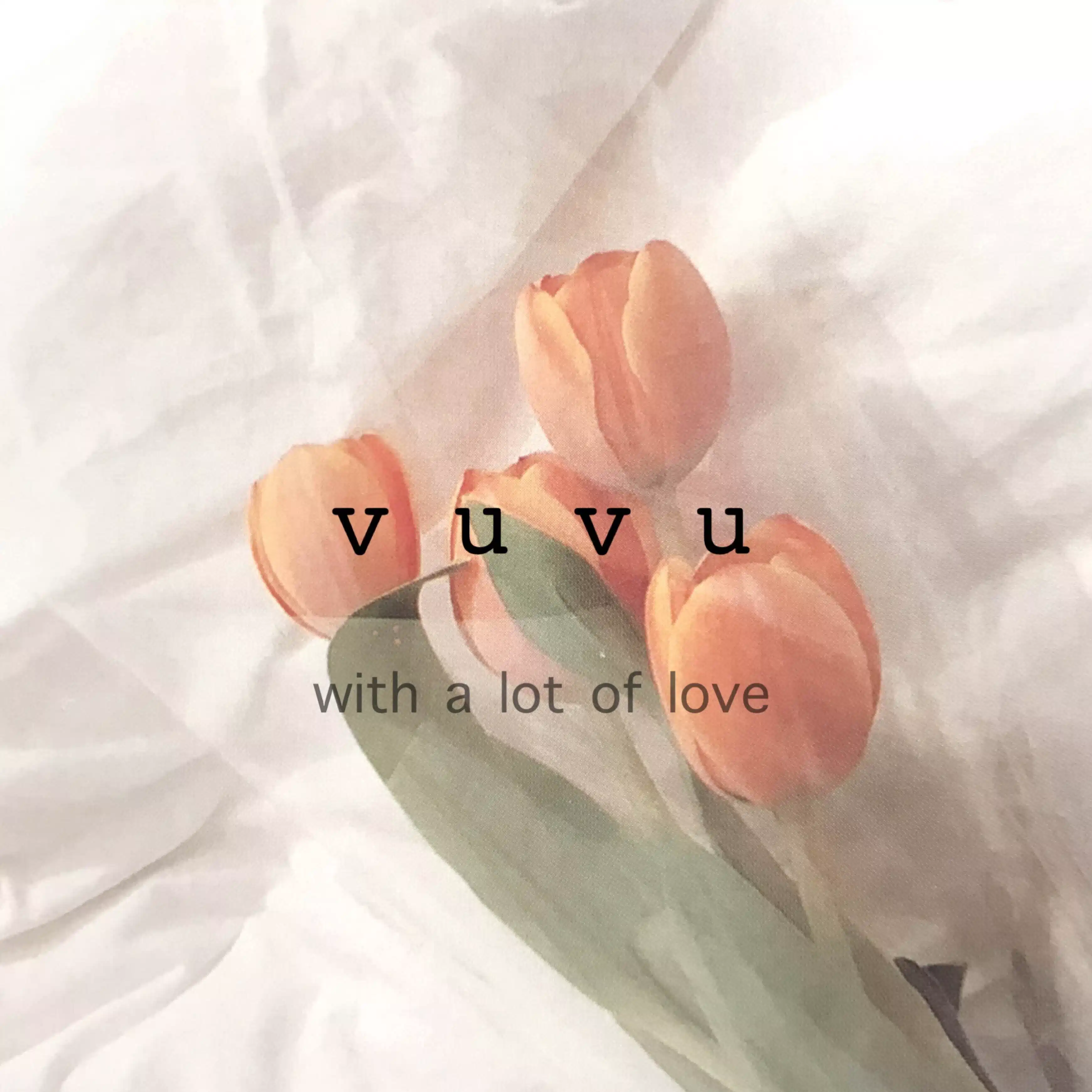 wireshop_vuvu
