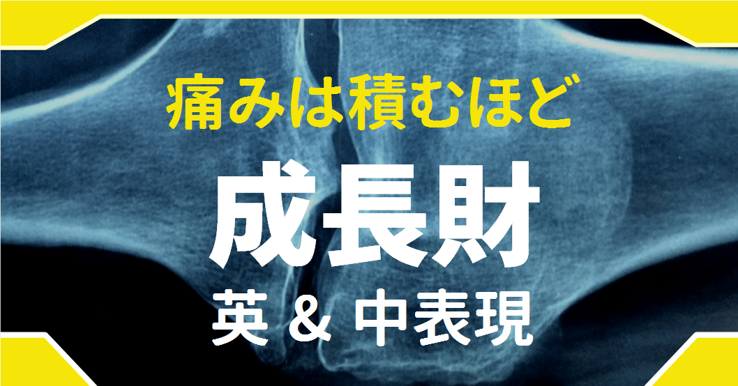 感じるかい 痛みは成長財 痛みに関する英語 中国語表現 ゆう 語学の裏設定 Note